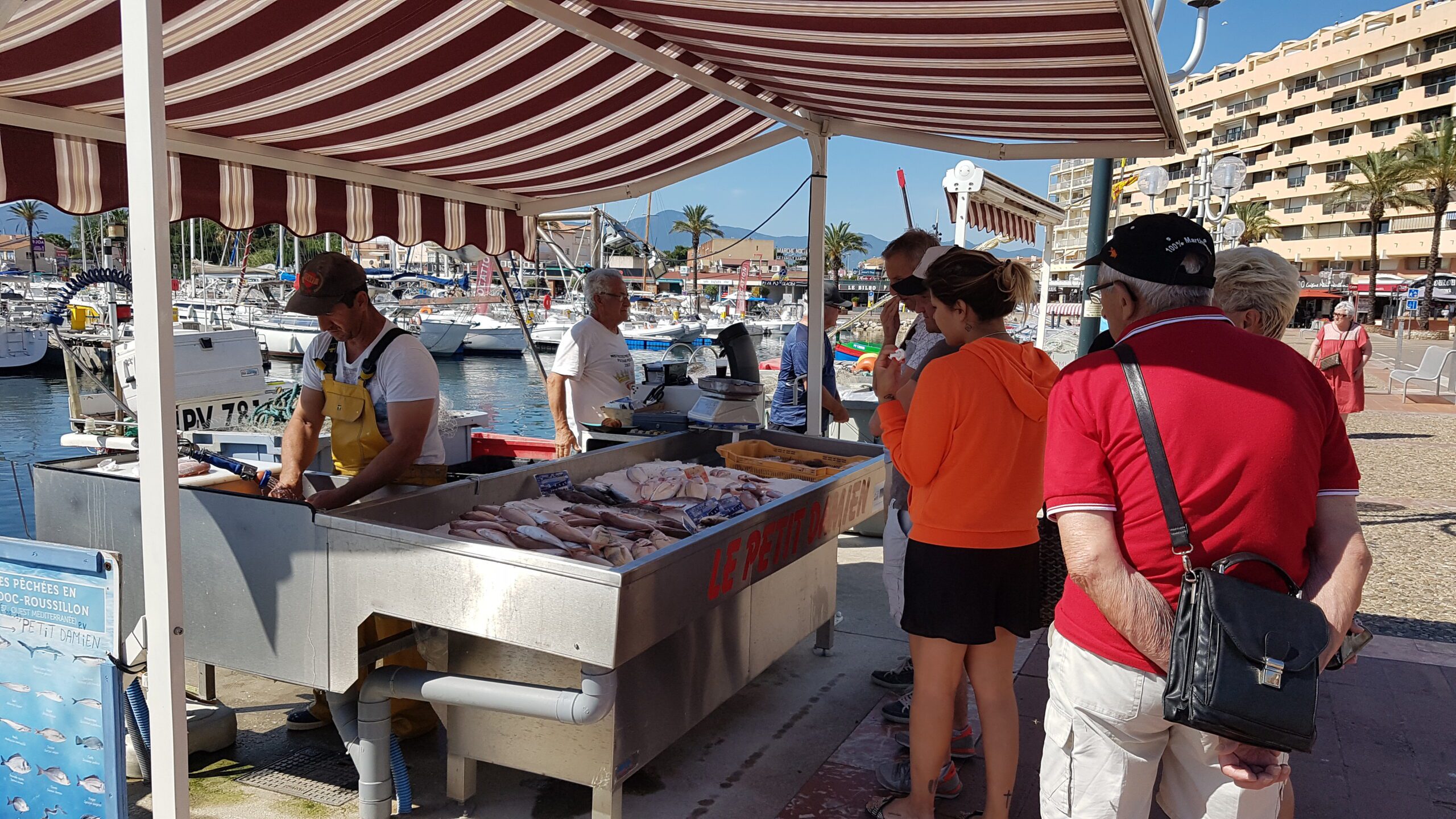 Une pétition pour soutenir les pêcheurs artisans en Méditerranée
