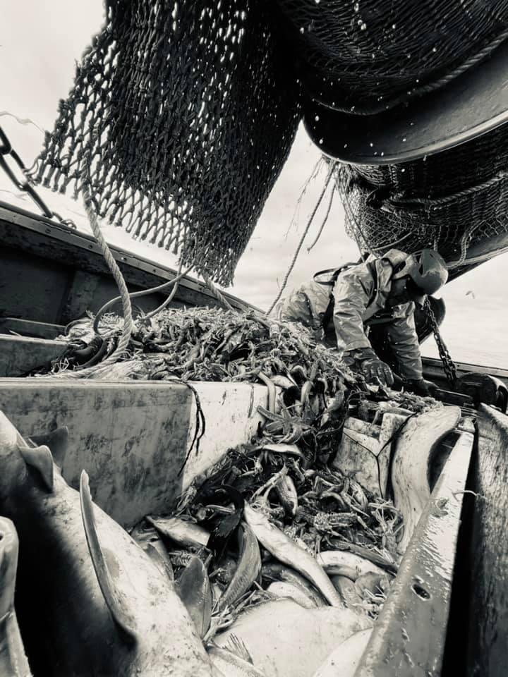 Pliage d'un filet de pêche à Concarneau (Finistère). 1960.