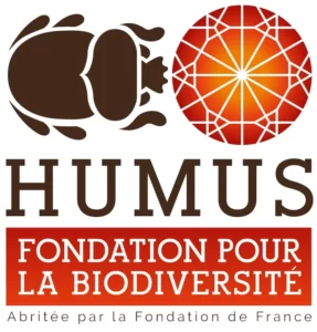 logo-humus