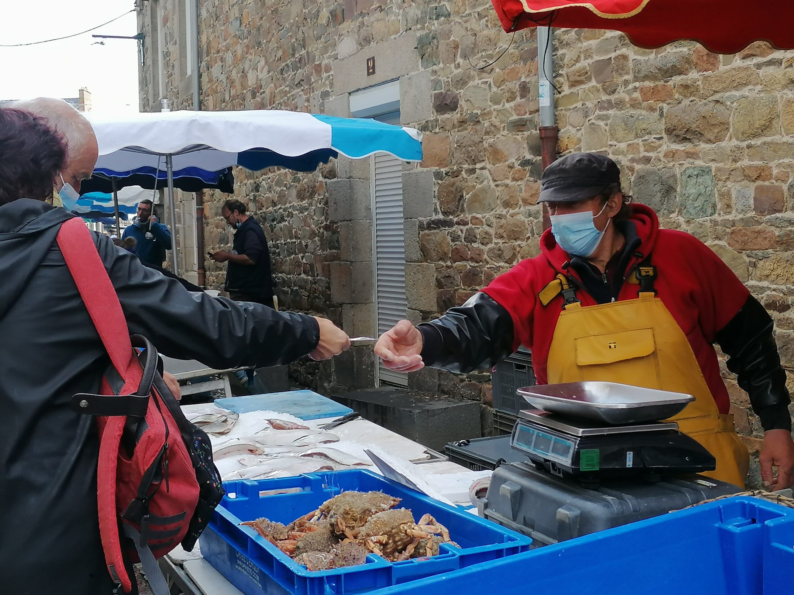 Newsletter hiver 2021 : pour les fêtes, mangez des produits de la mer locaux et durables !