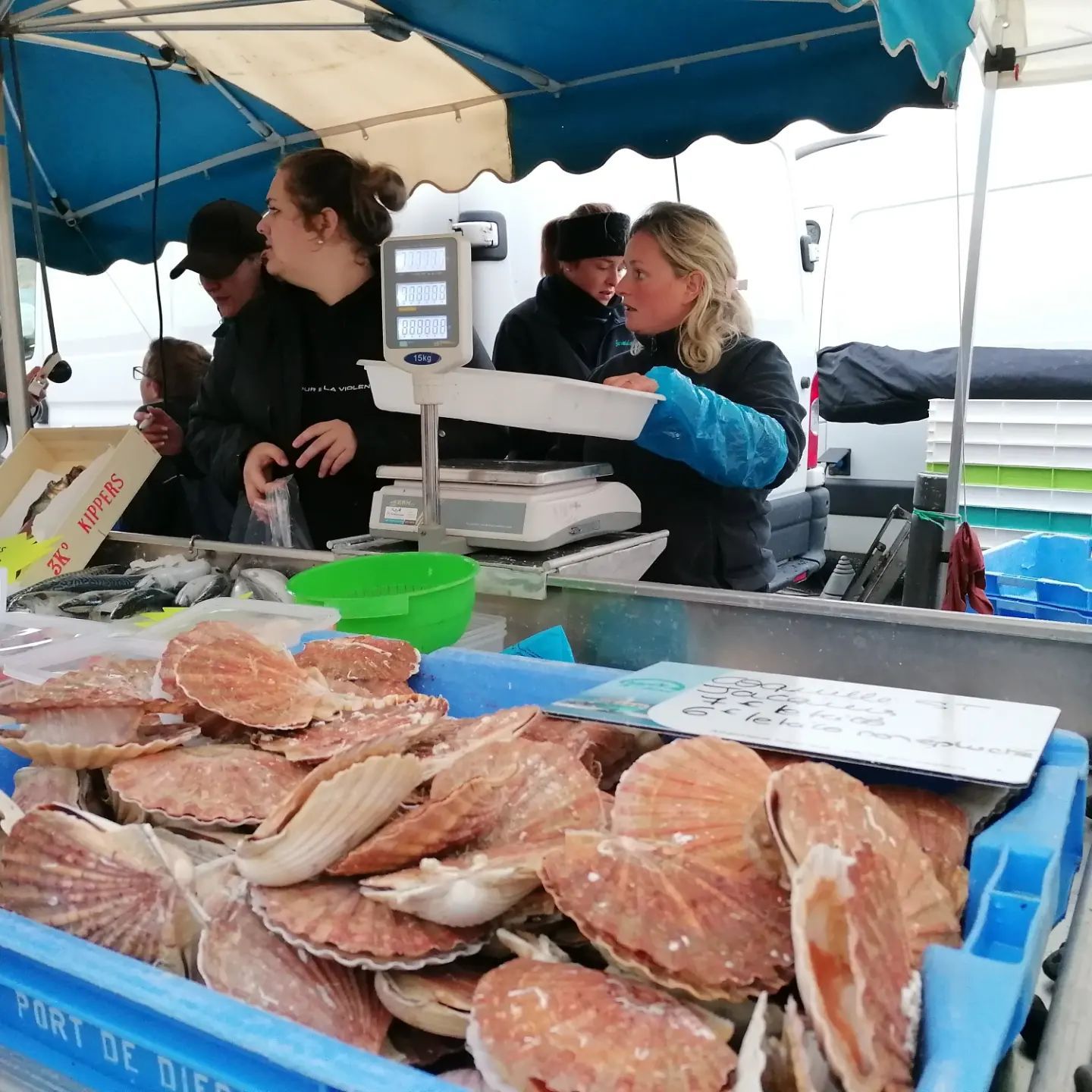Cuisiner la pêche locale – poêlée de Saint-Jacques aux champignons