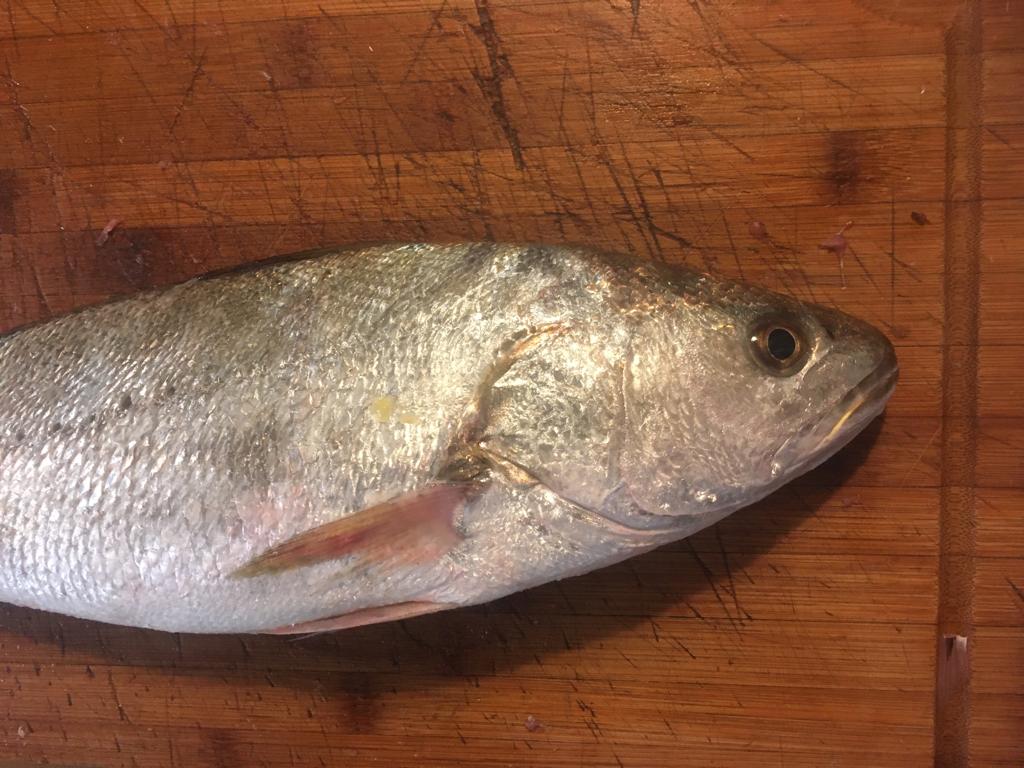 Cuisiner la pêche locale – Maigre, petits pois et asperges